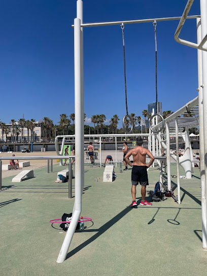 Outdoor gym - Pg. Marítim de la Barceloneta, 17, 08003 Barcelona, Spain