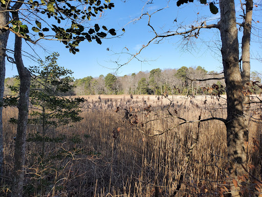 Tourist Attraction «Wetlands overlook park», reviews and photos, 4020 11th St, North Beach, MD 20714, USA