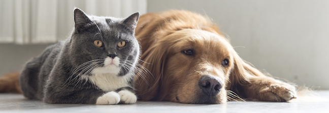 Dierenartspraktijk Potig