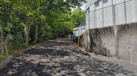 雛山城跡