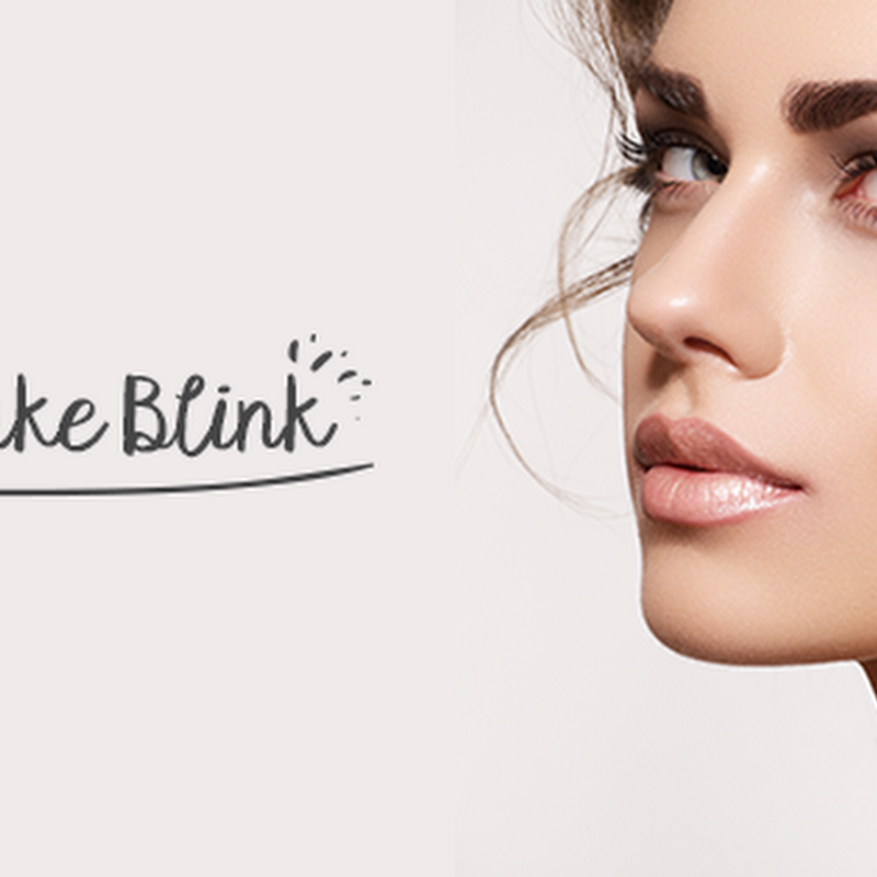 Make Blink Studio Academy