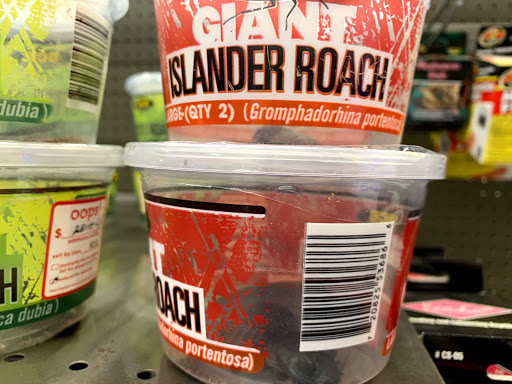 Pet Supply Store «Petco Animal Supplies», reviews and photos, 3452 W Chandler Blvd, Chandler, AZ 85226, USA