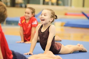 Barron Valley Gymnastics Club image