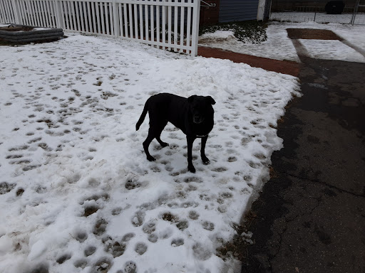 Belchertown Veterinary Hospital