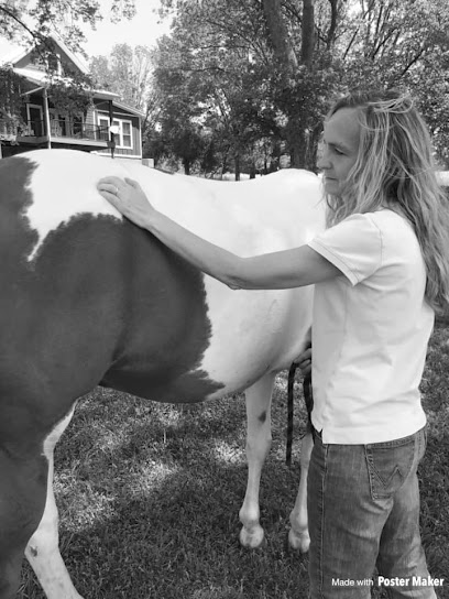 TR Equine Massage Therapy