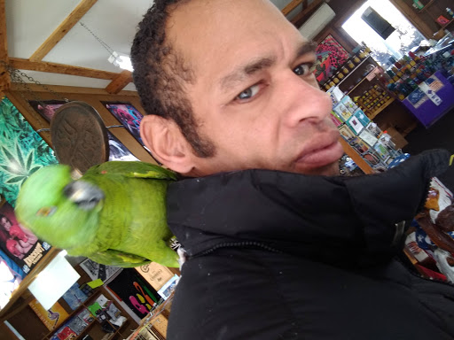 Boutique «Su Casa Boutique», reviews and photos, 1041 N Cedar St, Lansing, MI 48906, USA