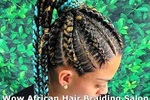 Hair Braiding In Houston - Braids, Twists, Locs & More - WOW African Hair Braiding Salon image