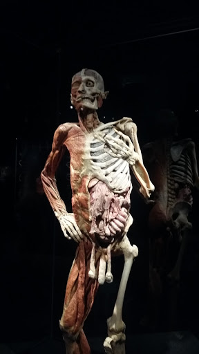 Imax Theater «Mcwane Center IMAX», reviews and photos, 205 19th St N, Birmingham, AL 35203, USA