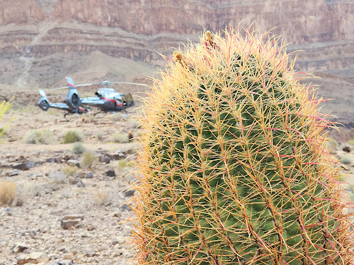 Helicopter Tour Agency «Maverick Helicopters», reviews and photos, 6075 S Las Vegas Blvd, Las Vegas, NV 89119, USA