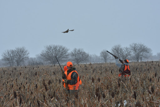 Hunting Club «Coon Creek Hunt Club», reviews and photos, 11050 Slough Rd, Garden Prairie, IL 61038, USA