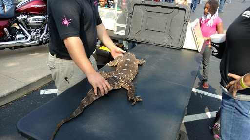 Motorcycle Dealer «Phantom Harley-Davidson», reviews and photos, 291 N Cypress Dr, Manteno, IL 60950, USA