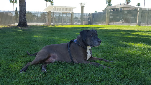 Recreation Center «Smoke Ranch Recreation Center», reviews and photos, 2750 Chandler Mews Dr, Las Vegas, NV 89108, USA