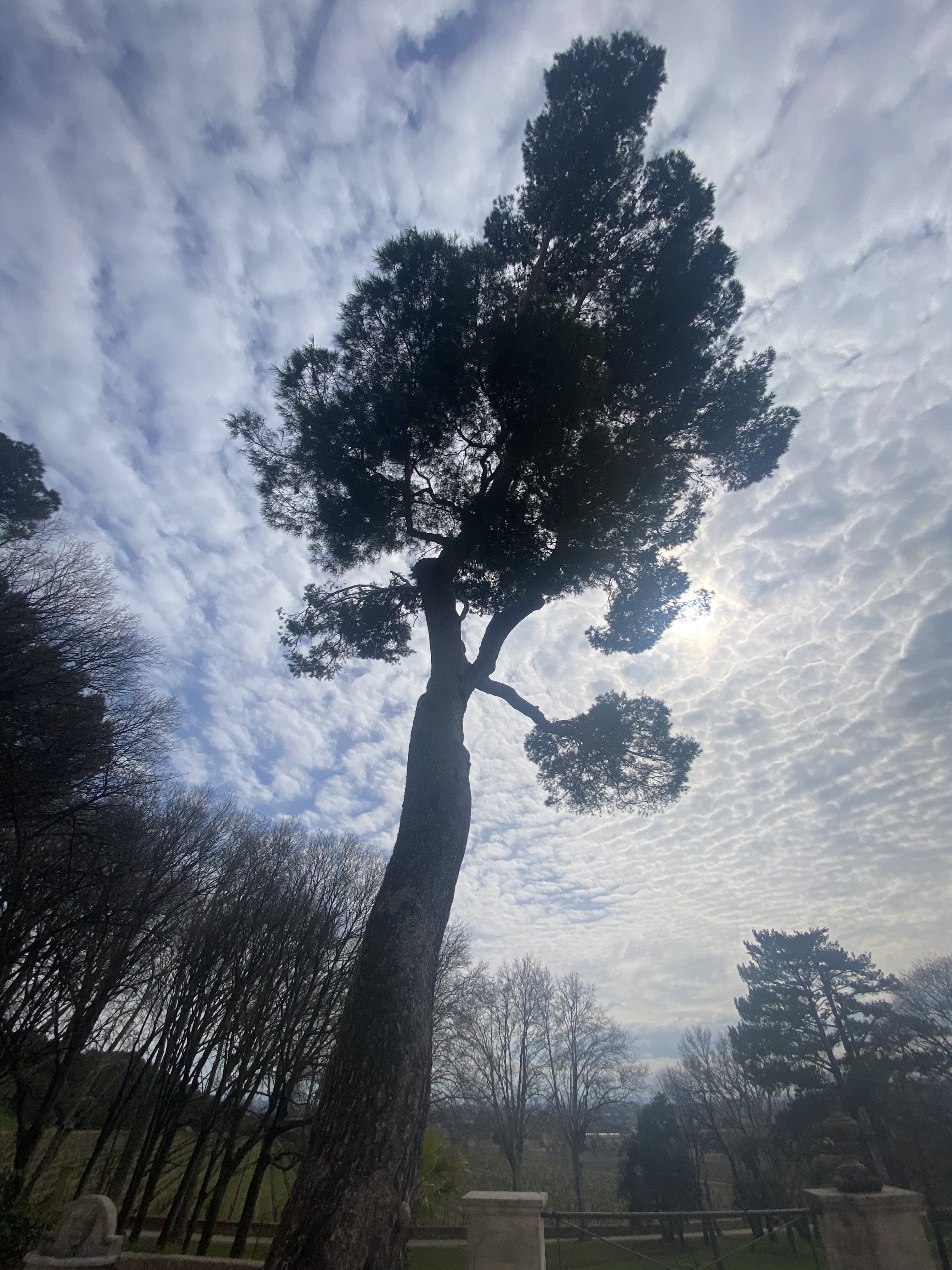 Photo n° 3 de l'avis de Charlotte.o fait le 18/03/2023 à 17:21