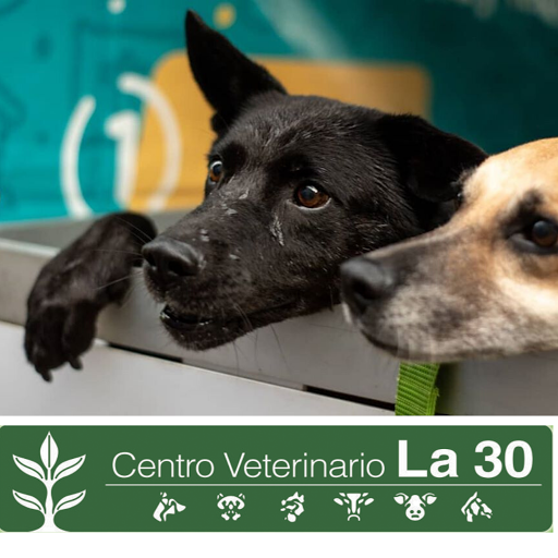 Centro veterinario la 30 Medellin