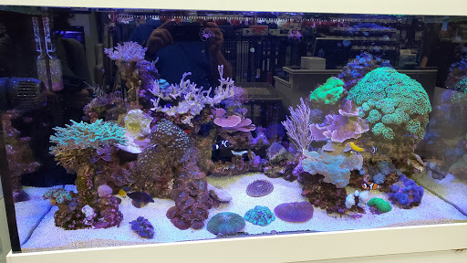 Tropical Fish Store «Pure Reef», reviews and photos, 12900 GA-9, Alpharetta, GA 30004, USA