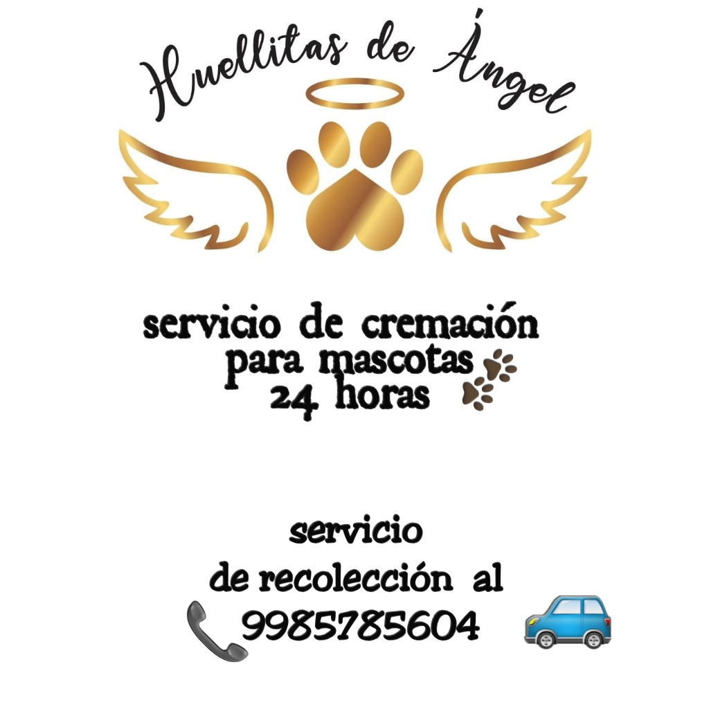 Servicios de cremación para mascotas huellitas de Ángel