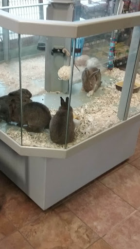 Pet Store «Crystal Clear Family Pets», reviews and photos, 33 High St, Ellsworth, ME 04605, USA