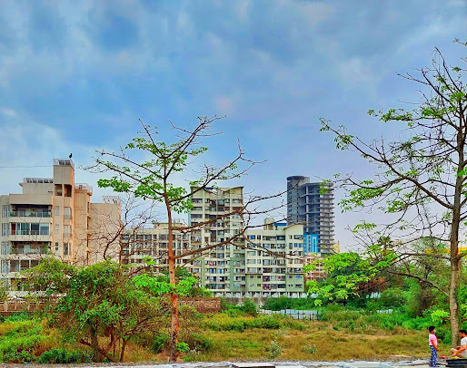 Google Maps image 11