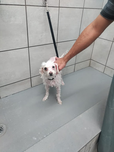 Pet Supply Store «Pet Supplies Plus», reviews and photos, 1206 W Dundee Rd, Buffalo Grove, IL 60089, USA