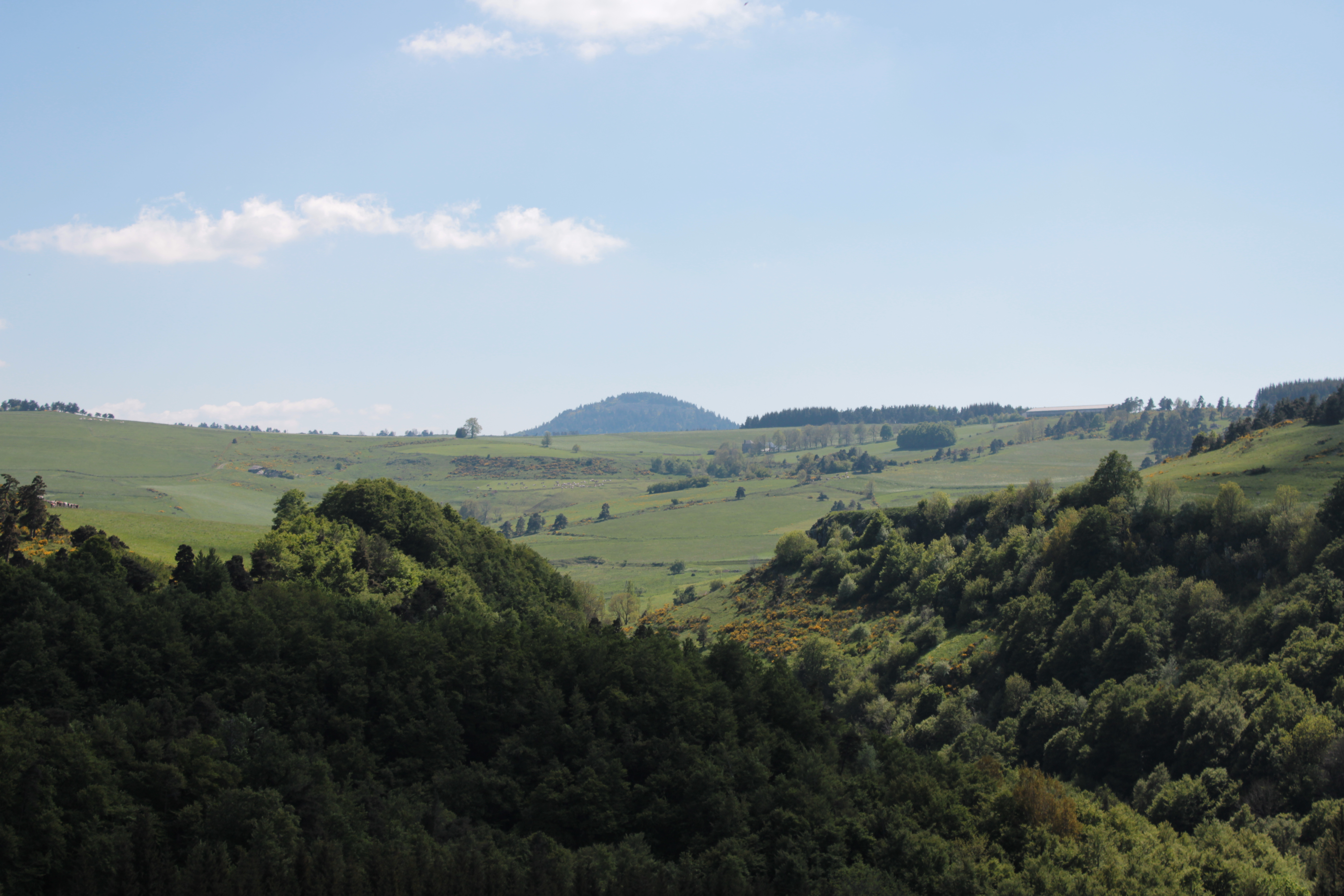 Photo n° 2 de l'avis de L. fait le 19/05/2020 à 22:39