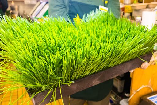 Health Food Store «Health Nuts», reviews and photos, 2611 Broadway, New York, NY 10025, USA