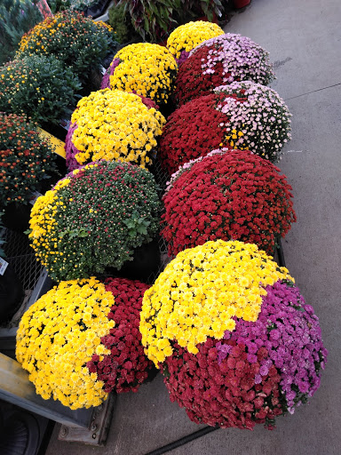 Home Improvement Store «The Home Depot», reviews and photos, 135 11400 S, Sandy, UT 84070, USA