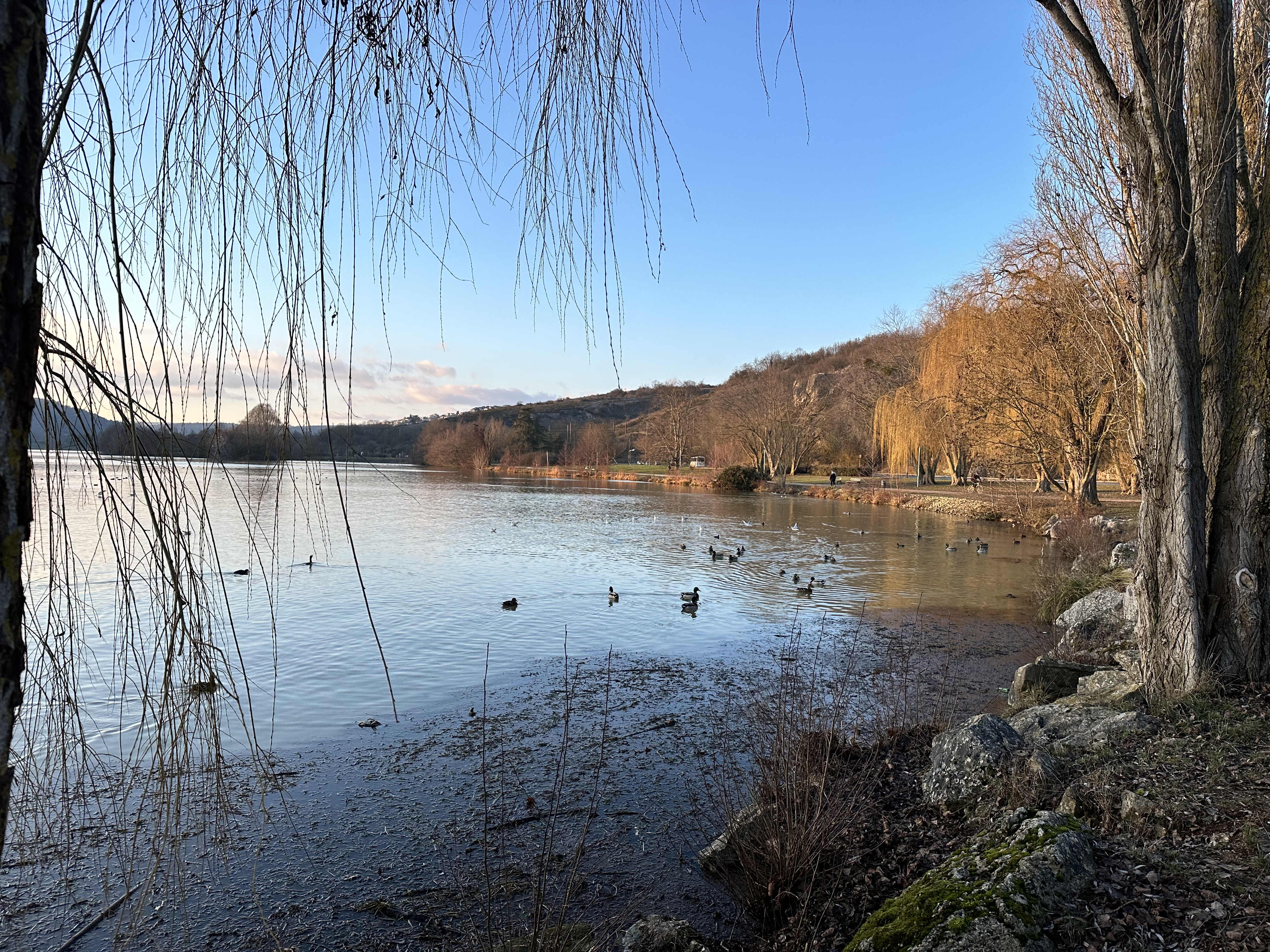 Photo n° 6 de l'avis de Nadia.e fait le 13/02/2021 à 20:45