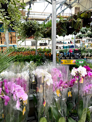 Home Improvement Store «The Home Depot», reviews and photos, 999 W Riverdale Rd, Riverdale, UT 84405, USA