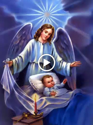 Discount Store «Dollar General», reviews and photos, 5635 FL-674, Wimauma, FL 33598, USA