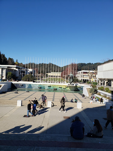 Opiniones de Campanil UdeC en Concepción - Museo