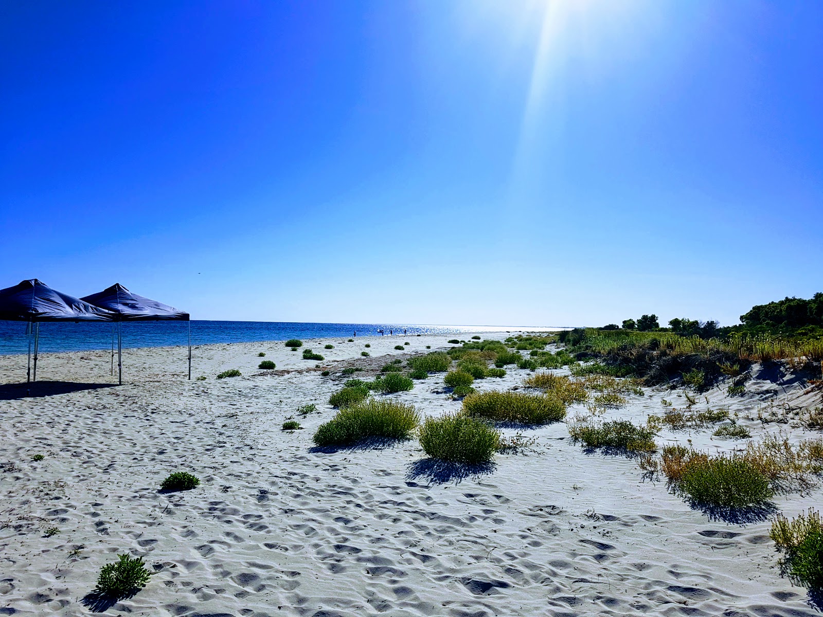 Photo de Wyndham Beach avec un niveau de propreté de très propre