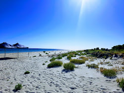 Photo de Wyndham Beach avec un niveau de propreté de très propre