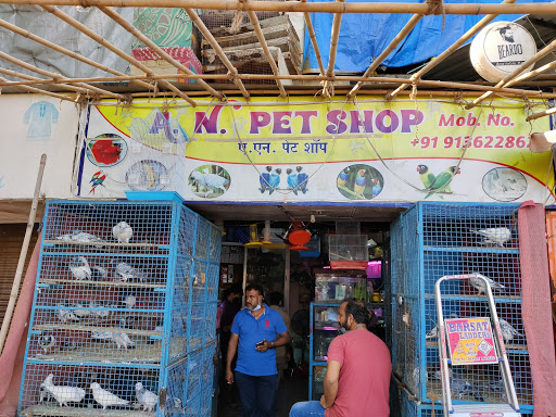 A. N. Pet Shop
