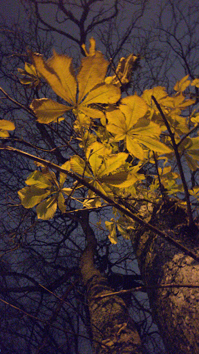 Park «Couch City Park», reviews and photos, 1961 NW Glisan St, Portland, OR 97209, USA