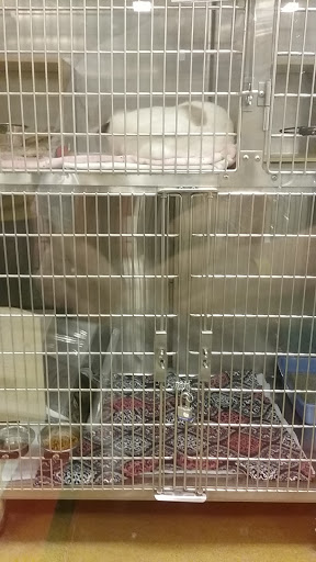 Pet Supply Store «PetSmart», reviews and photos, 2216 E Springs Dr, Madison, WI 53704, USA