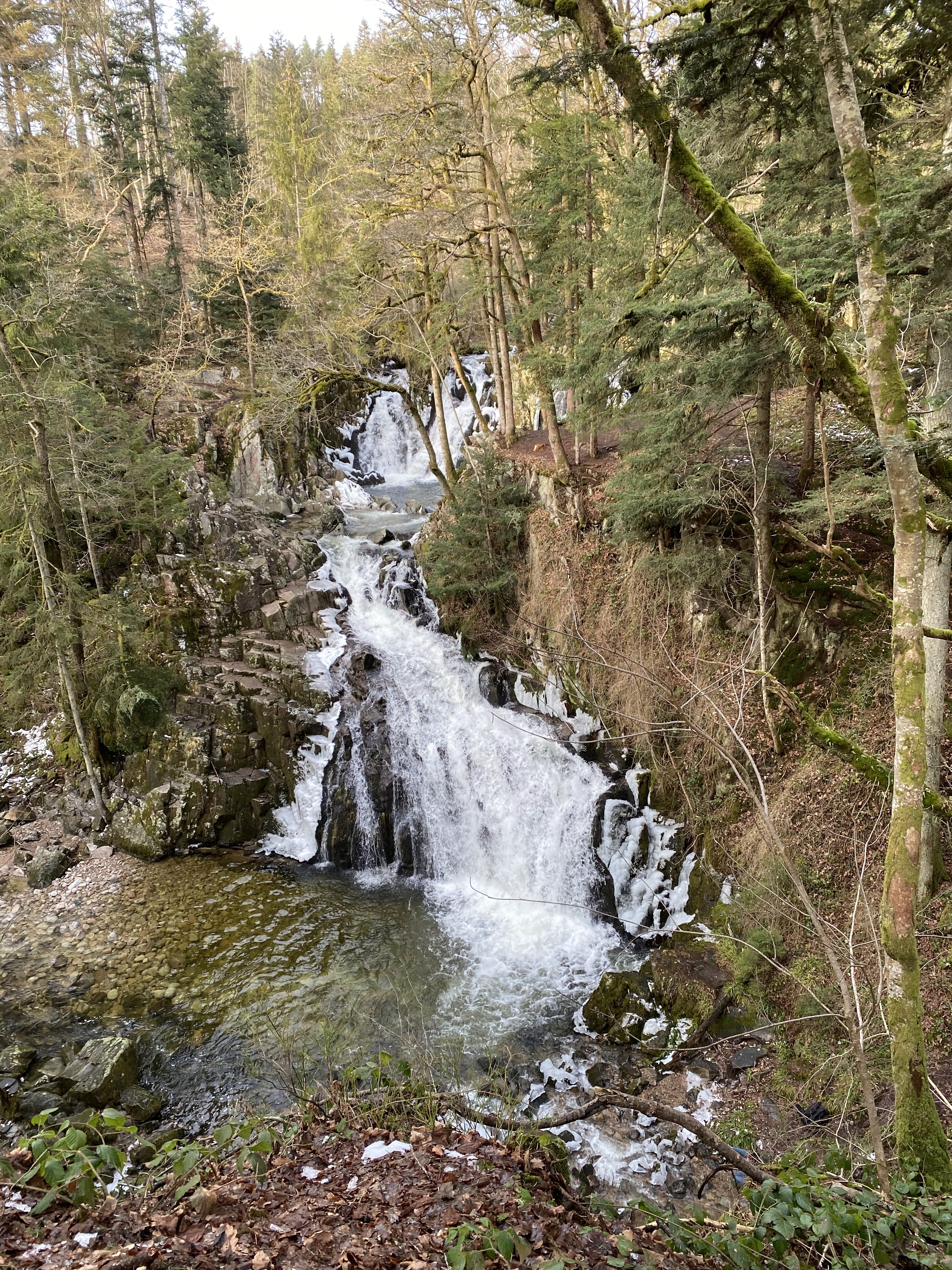 Photo n° 2 de l'avis de Thibault.p fait le 21/02/2021 à 10:52