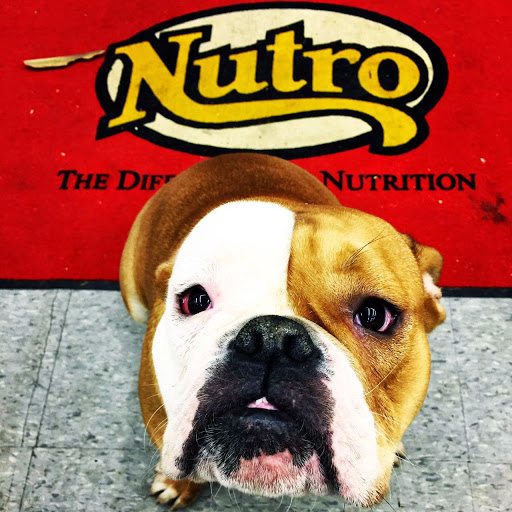 Pet Supply Store «Detroit K9 Pet Supplies», reviews and photos, 7030