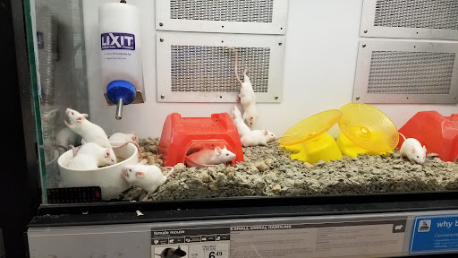 Pet Supply Store «Petco Animal Supplies», reviews and photos, 1019 Cochrane Rd, Morgan Hill, CA 95037, USA