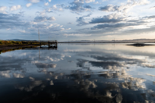 Nature Preserve «Cullinan Ranch», reviews and photos, 1158 Sears Point Rd, Vallejo, CA 94592, USA