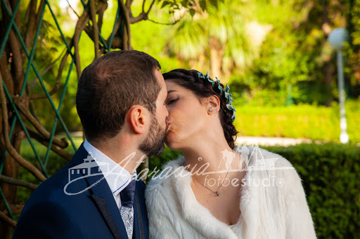 Amor
