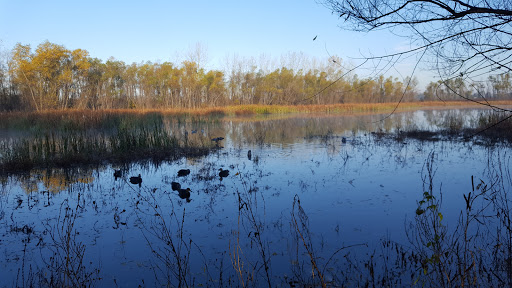 Nature Preserve «Marais Temps Clair Conservation Area», reviews and photos, 5134 Island Road, St Charles, MO 63301, USA