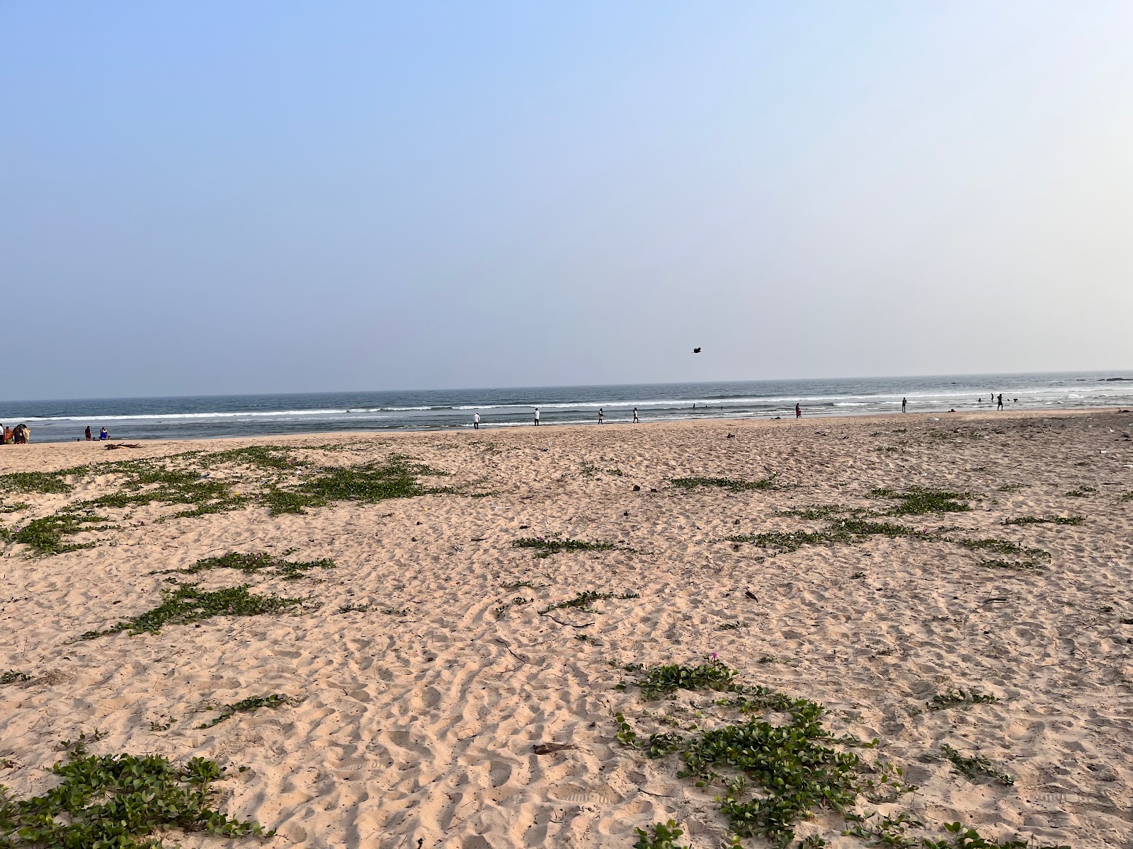 Foto van Mutyalammapalem Beach wilde omgeving