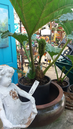 Hardware Store «South Salem Ace Hardware», reviews and photos, 706 Madrona Ave SE, Salem, OR 97302, USA