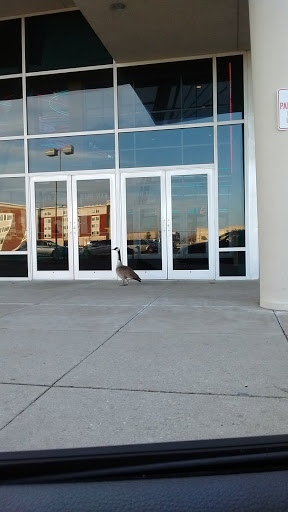 Movie Theater «Regal Cinemas Fairfield Commons 20 & RPX», reviews and photos, 2651 Fairfield Commons, Beavercreek, OH 45431, USA