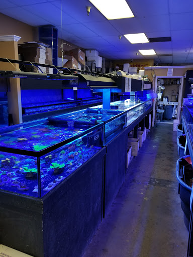 Tropical Fish Store «Your Reef Aquarium», reviews and photos, 199 Cirby Way #14, Roseville, CA 95678, USA