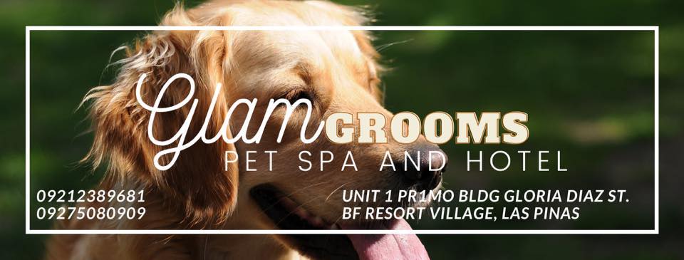 Glam Grooms Pet Spa and Hotel