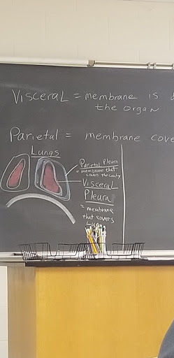 Book Store «Daytona State College Bookstore - DeLand Campus», reviews and photos, 1155 County Road 4139, DeLand, FL 32724, USA