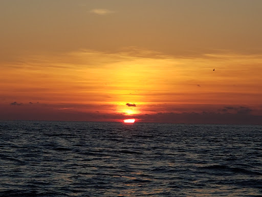 Boat Tour Agency «Sea Screamer», reviews and photos, 3605 Thomas Dr, Panama City, FL 32408, USA