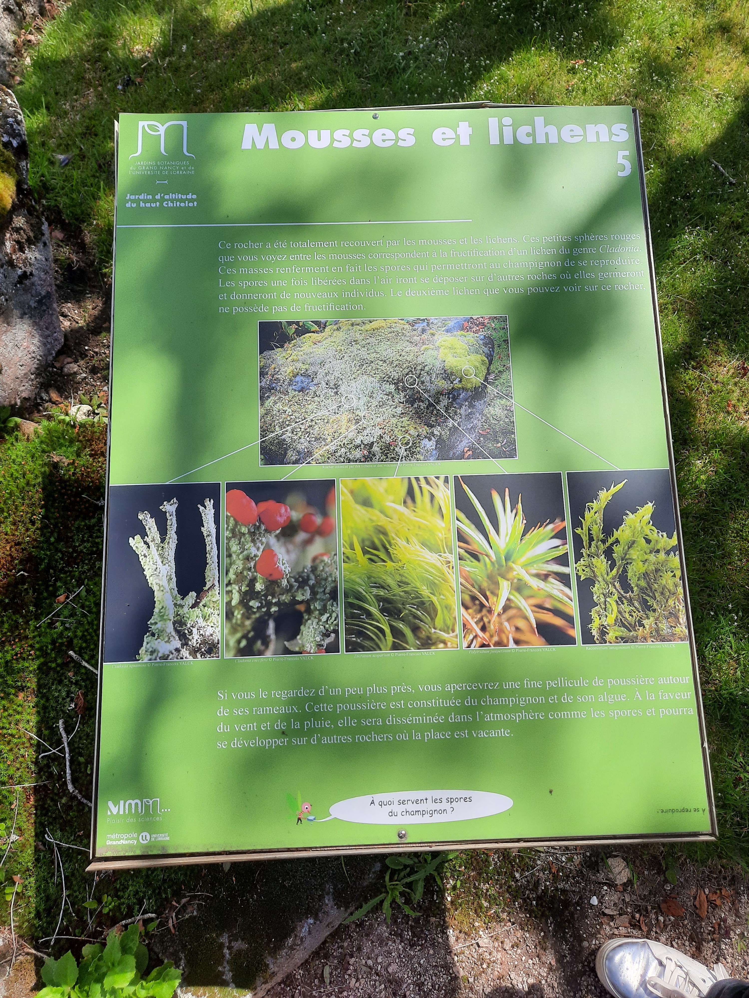 Photo n° 5 de l'avis de Victoria.e fait le 22/06/2020 à 21:37