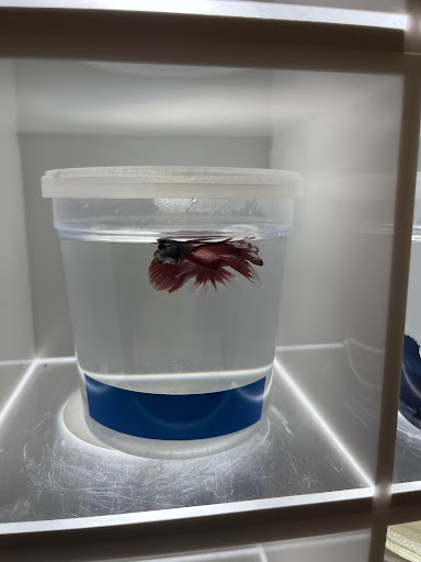 Pet Supply Store «PetSmart», reviews and photos, 3803 Venture Dr, Duluth, GA 30096, USA